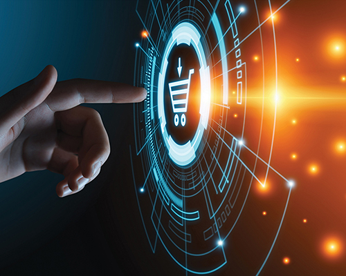E-Commerce Platform Selection