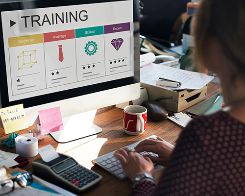 Training & Documentation