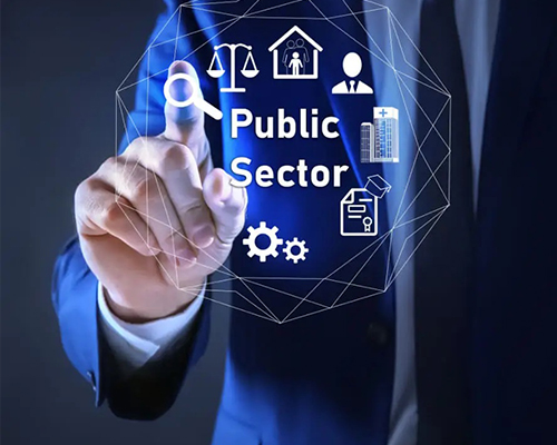 Professional Services